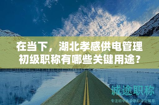在当下，湖北孝感供电管理初级职称有哪些关键用途？