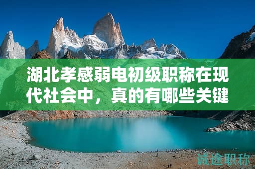 湖北孝感弱电初级职称在现代社会中，真的有哪些关键用途？
