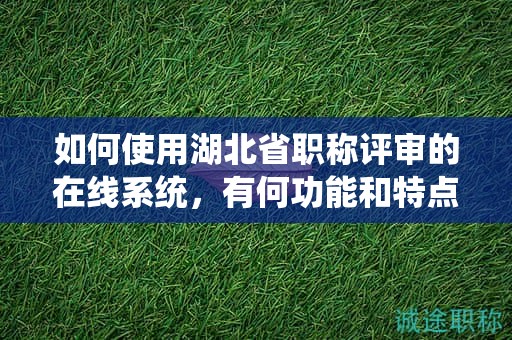 如何使用湖北省职称评审的在线系统，有何功能和特点？