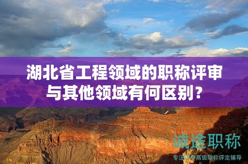 湖北省工程领域的职称评审与其他领域有何区别？