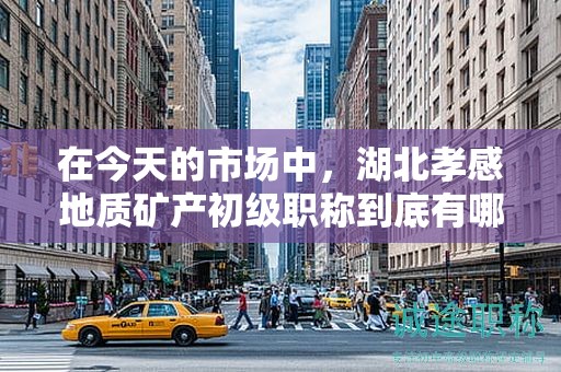 在今天的市场中，湖北孝感地质矿产初级职称到底有哪些实际用途？
