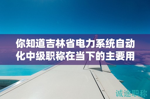 你知道吉林省电力系统自动化中级职称在当下的主要用途是什么吗？