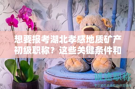 想要报考湖北孝感地质矿产初级职称？这些关键条件和要求你都清楚了吗？