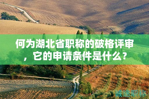 何为湖北省职称的破格评审，它的申请条件是什么？