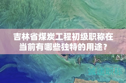吉林省煤炭工程初级职称在当前有哪些独特的用途？