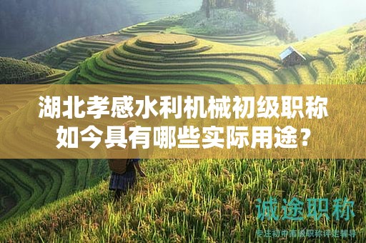 湖北孝感水利机械初级职称如今具有哪些实际用途？