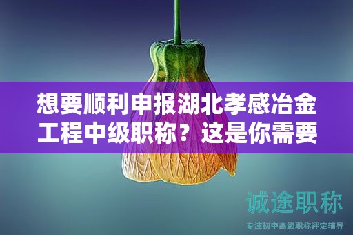 想要顺利申报湖北孝感冶金工程中级职称？这是你需要的完整流程.
