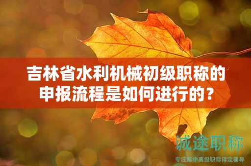吉林省水利机械初级职称的申报流程是如何进行的？