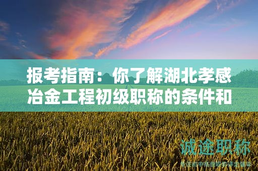 报考指南：你了解湖北孝感冶金工程初级职称的条件和要求吗？