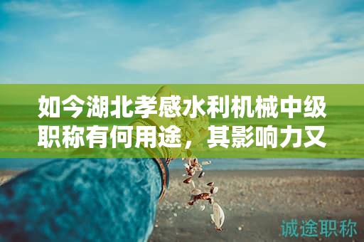 如今湖北孝感水利机械中级职称有何用途，其影响力又如何？