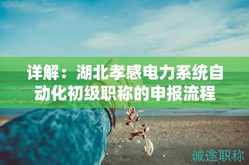详解：湖北孝感电力系统自动化初级职称的申报流程