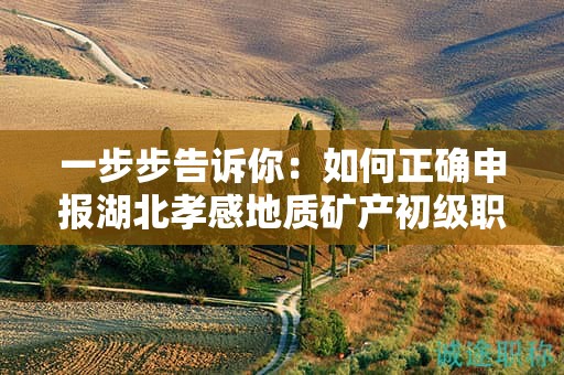 一步步告诉你：如何正确申报湖北孝感地质矿产初级职称？