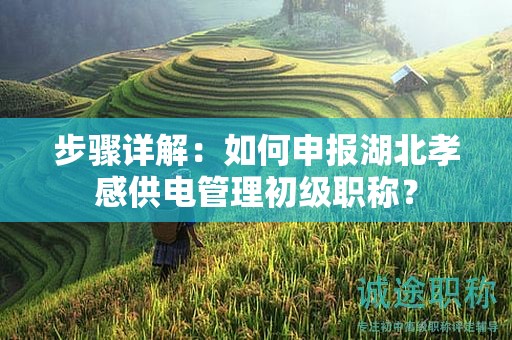 步骤详解：如何申报湖北孝感供电管理初级职称？