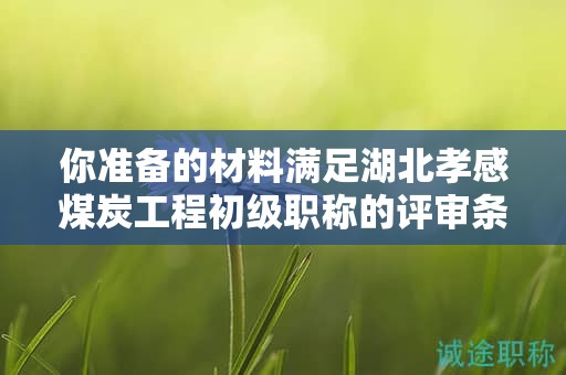 你准备的材料满足湖北孝感煤炭工程初级职称的评审条件吗？