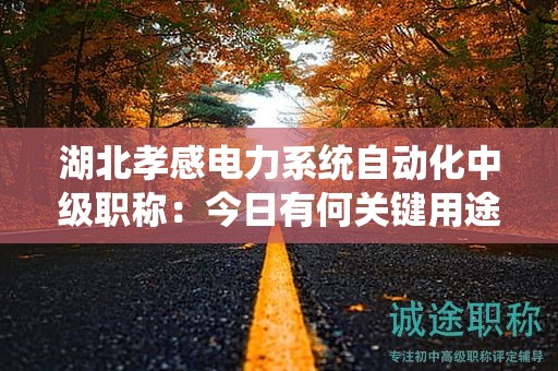 湖北孝感电力系统自动化中级职称：今日有何关键用途？