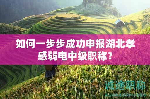 如何一步步成功申报湖北孝感弱电中级职称？