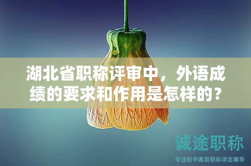 湖北省职称评审中，外语成绩的要求和作用是怎样的？