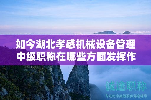 如今湖北孝感机械设备管理中级职称在哪些方面发挥作用？