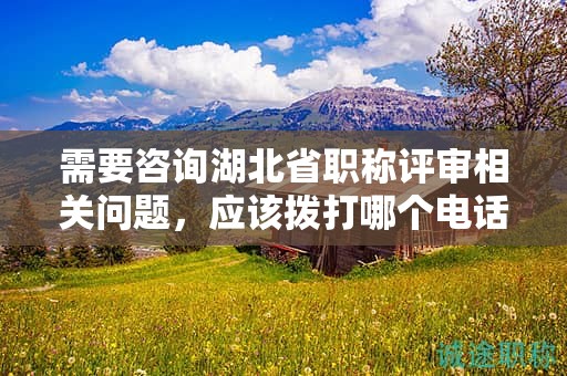 需要咨询湖北省职称评审相关问题，应该拨打哪个电话？