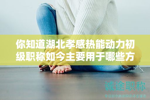 你知道湖北孝感热能动力初级职称如今主要用于哪些方面吗？