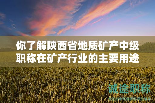 你了解陕西省地质矿产中级职称在矿产行业的主要用途吗？