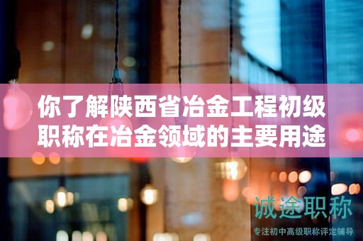 你了解陕西省冶金工程初级职称在冶金领域的主要用途吗？
