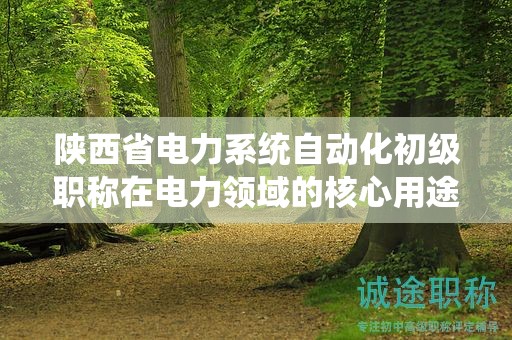 陕西省电力系统自动化初级职称在电力领域的核心用途是什么？