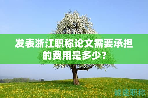 发表浙江职称论文需要承担的费用是多少？