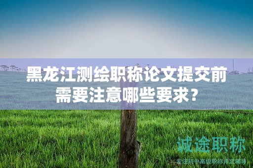 黑龙江测绘职称论文提交前需要注意哪些要求？