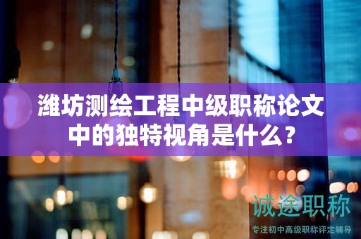 潍坊测绘工程中级职称论文中的独特视角是什么？