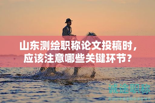 山东测绘职称论文投稿时，应该注意哪些关键环节？