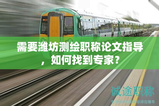 需要潍坊测绘职称论文指导，如何找到专家？