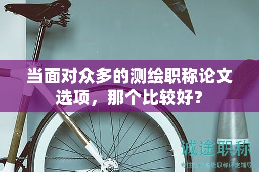 当面对众多的测绘职称论文选项，那个比较好？