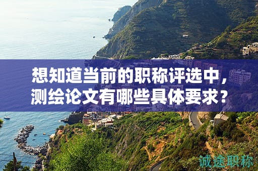 想知道当前的职称评选中，测绘论文有哪些具体要求？