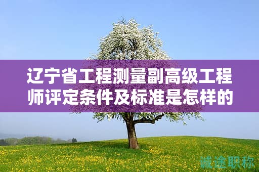 辽宁省工程测量副高级工程师评定条件及标准是怎样的，如何为之做好准备？