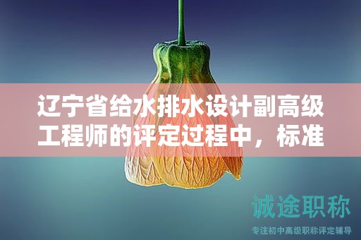 辽宁省给水排水设计副高级工程师的评定过程中，标准和条件是什么？