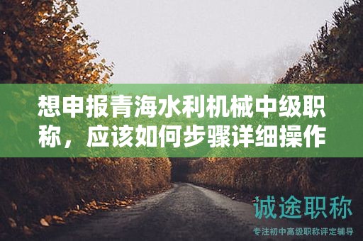 想申报青海水利机械中级职称，应该如何步骤详细操作？