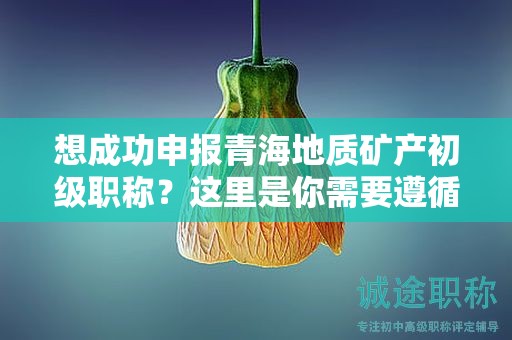 想成功申报青海地质矿产初级职称？这里是你需要遵循的流程