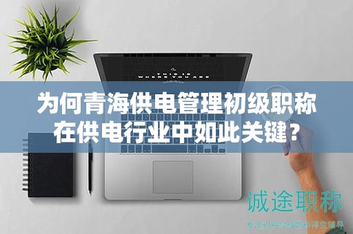 为何青海供电管理初级职称在供电行业中如此关键？
