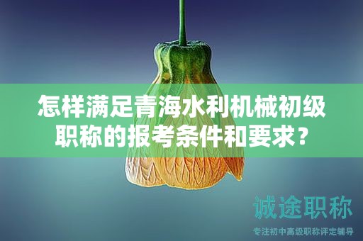 怎样满足青海水利机械初级职称的报考条件和要求？
