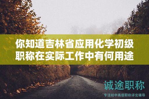 你知道吉林省应用化学初级职称在实际工作中有何用途吗？