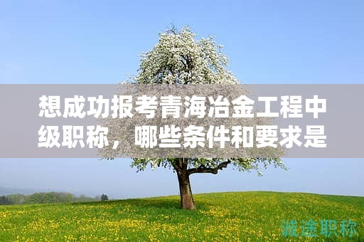 想成功报考青海冶金工程中级职称，哪些条件和要求是必不可少的？