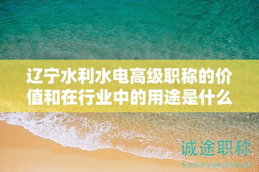 辽宁水利水电高级职称的价值和在行业中的用途是什么？