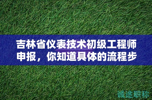 吉林省仪表技术初级工程师申报，你知道具体的流程步骤吗？