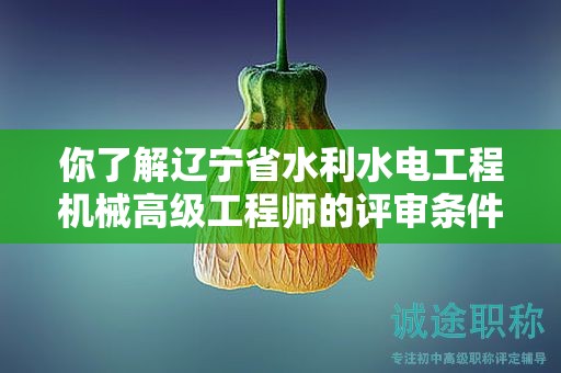 你了解辽宁省水利水电工程机械高级工程师的评审条件吗？