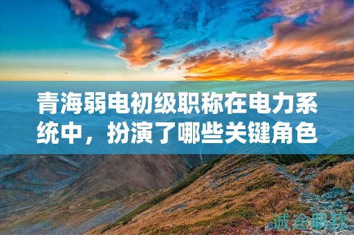 青海弱电初级职称在电力系统中，扮演了哪些关键角色？