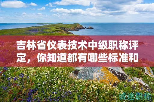 吉林省仪表技术中级职称评定，你知道都有哪些标准和要点吗？