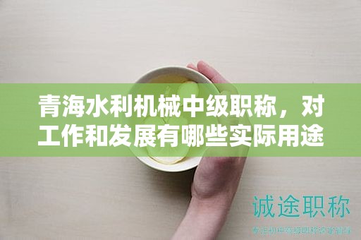 青海水利机械中级职称，对工作和发展有哪些实际用途？