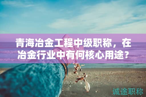 青海冶金工程中级职称，在冶金行业中有何核心用途？