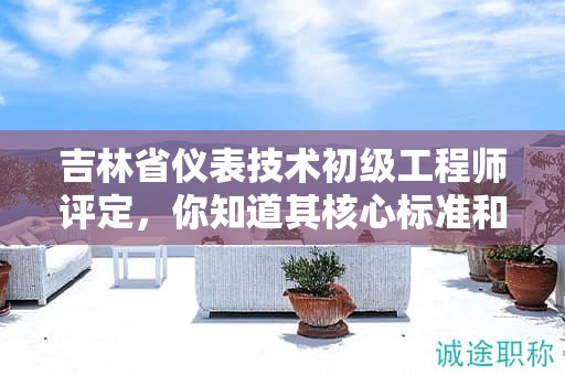 吉林省仪表技术初级工程师评定，你知道其核心标准和要点吗？